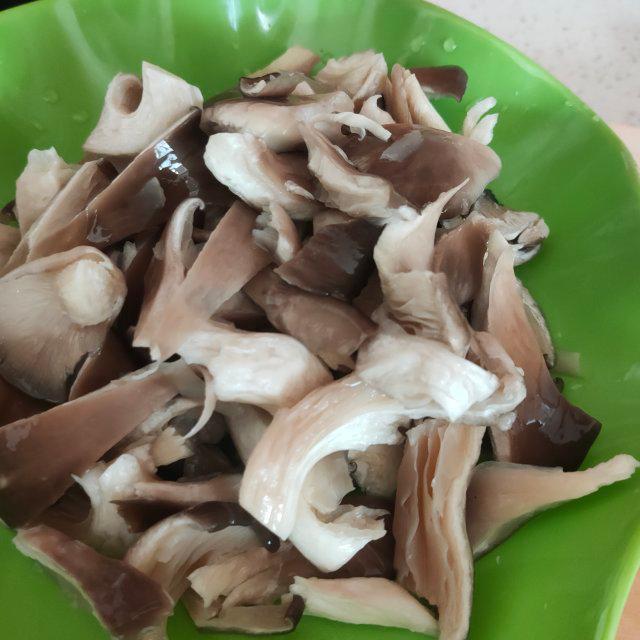 给人以温暖与陪伴的宠物护理人员